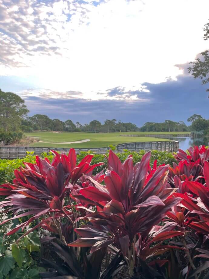 A view of the Bears Club in Jupiter, FL