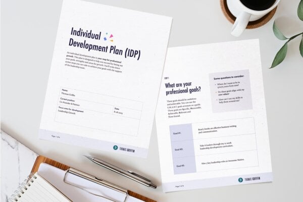 How to Create an Individual Development Plan (Template With Examples ...